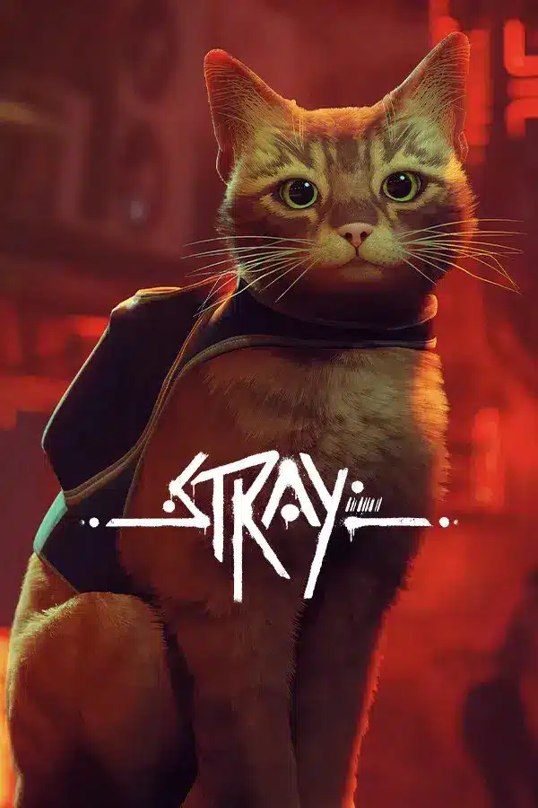 Stray — rasmiy poster